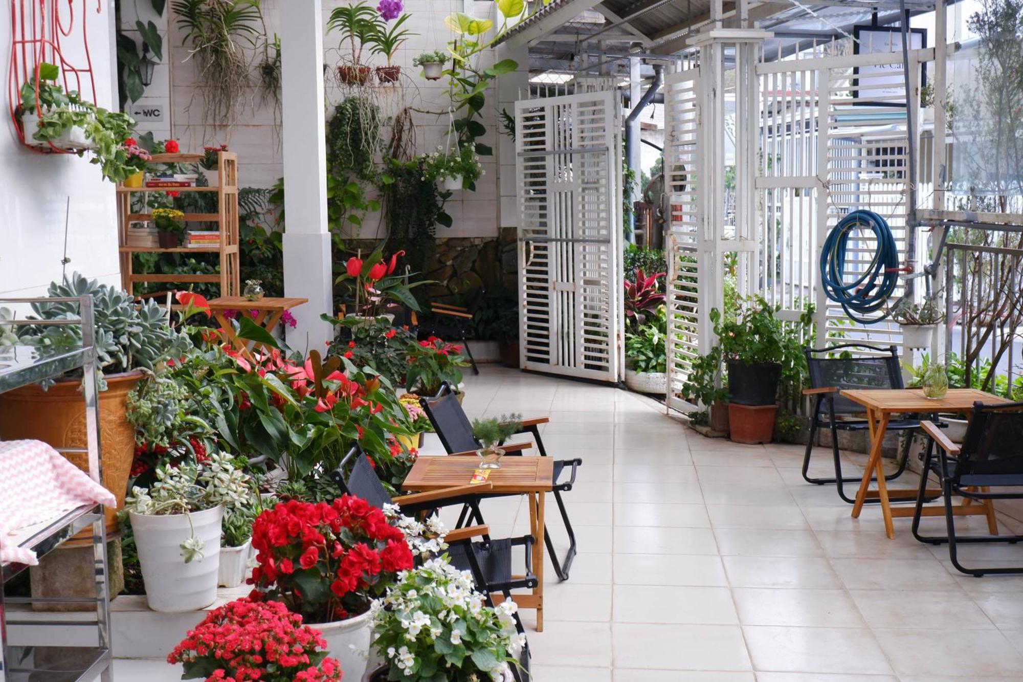 296 Cetete - Home In Dalat Ngoại thất bức ảnh